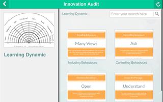 Innovation Audit screenshot 3