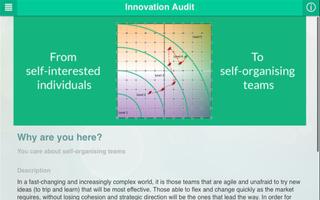 Innovation Audit screenshot 2
