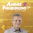 Deputado André Figueiredo