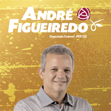 Deputado André Figueiredo ícone