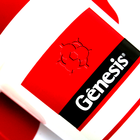 Genesis icon