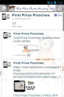 First Prize Pooches screenshot 1