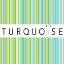 Turquoise APK