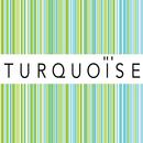 Turquoise APK