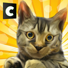 Cuối cùng Stray Cat Simulator biểu tượng