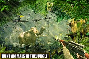 Sniper Animal Hunter Safari Affiche