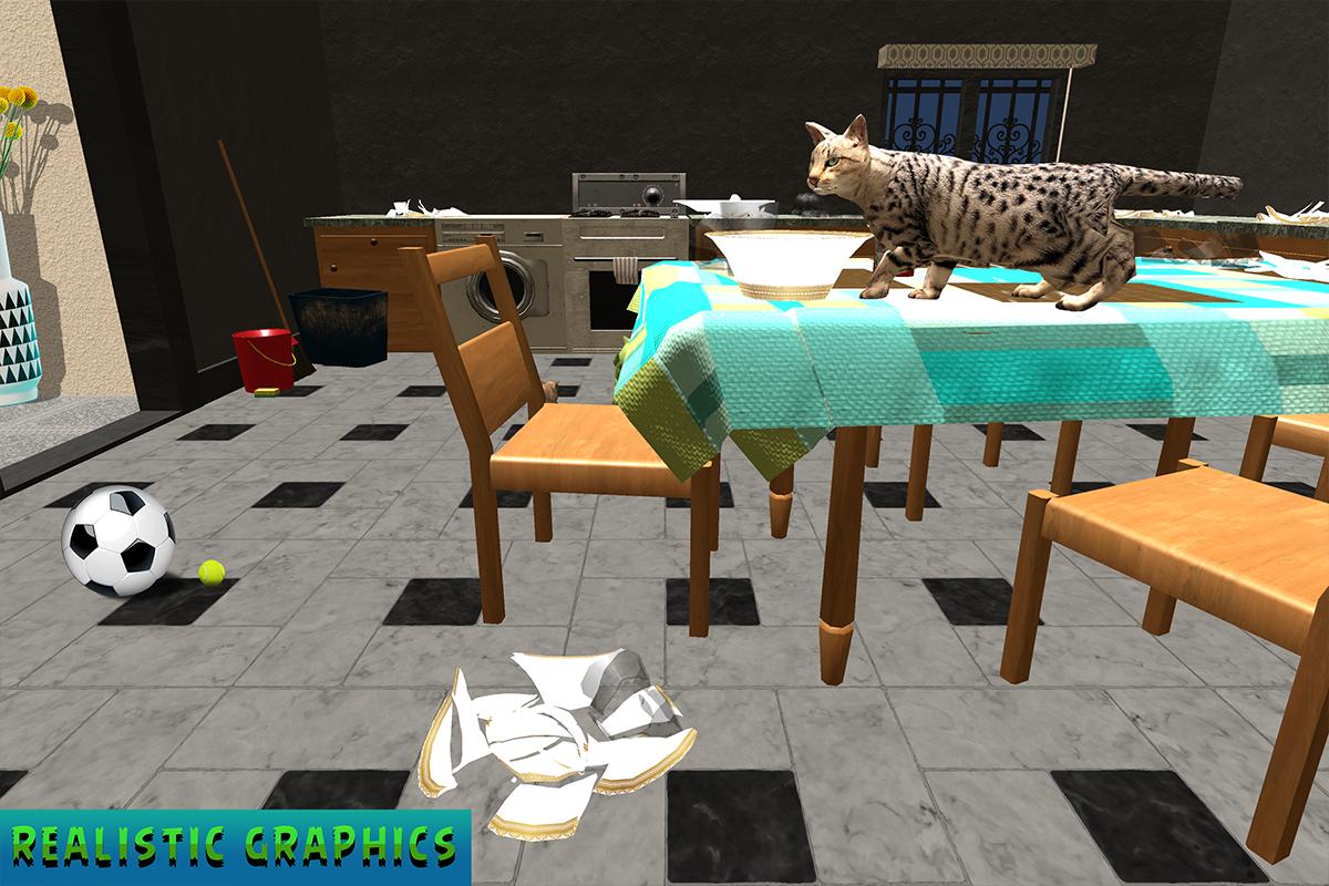 Сурвивал кошка. Dancing Cats игра. Cat Survival Simulator. Cats games at Home. Cats полная игра