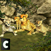 Cheetah Attack Sim APK
