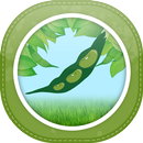 강낭콩 키우기-APK