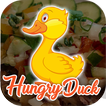 ”Hungry Duck