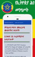 The Ethiopian Constitution screenshot 2