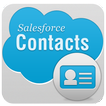 Salesforce Contacts