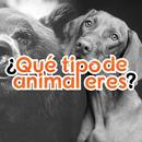 Quiz - ¿Qué tipo de animal eres? APK