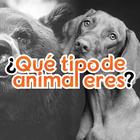 Quiz - ¿Qué tipo de animal eres? biểu tượng