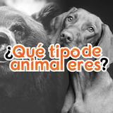 Quiz - ¿Qué tipo de animal eres? biểu tượng