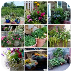 Container Gartenarbeit APK Herunterladen