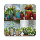 Container Garden আইকন