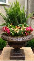 Container Garden পোস্টার