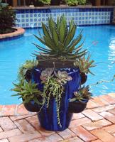 Container Garden স্ক্রিনশট 1