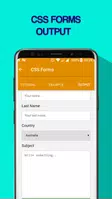 Learn CSS captura de pantalla 5
