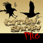 Snows & Crows Pro icône