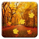 Autumn Leaves Live Wallpaper أيقونة