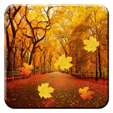Autumn Leaves Live Wallpaper icône
