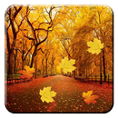 Autumn Leaves Live Wallpaper APK