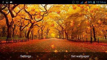 Autumn Leaves Live Wallpaper capture d'écran 3