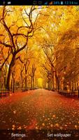 Autumn Leaves Live Wallpaper الملصق