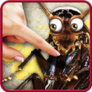 Bug smasher APK