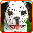 Animierte Hund dalmatinischen