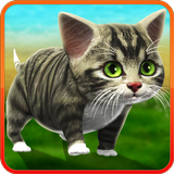 滑稽的猫步行 APK