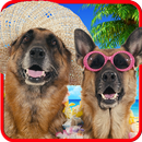 Talking dogs. APK