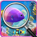 找到10个差异。 APK