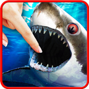 Shark smasher APK