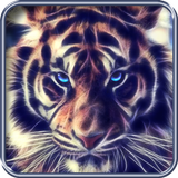 Tiger, live wallpaper icône