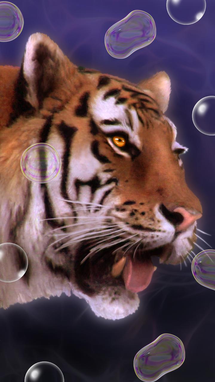 Android için Kaplan, canlı duvar kağıdı APK�yı İndir