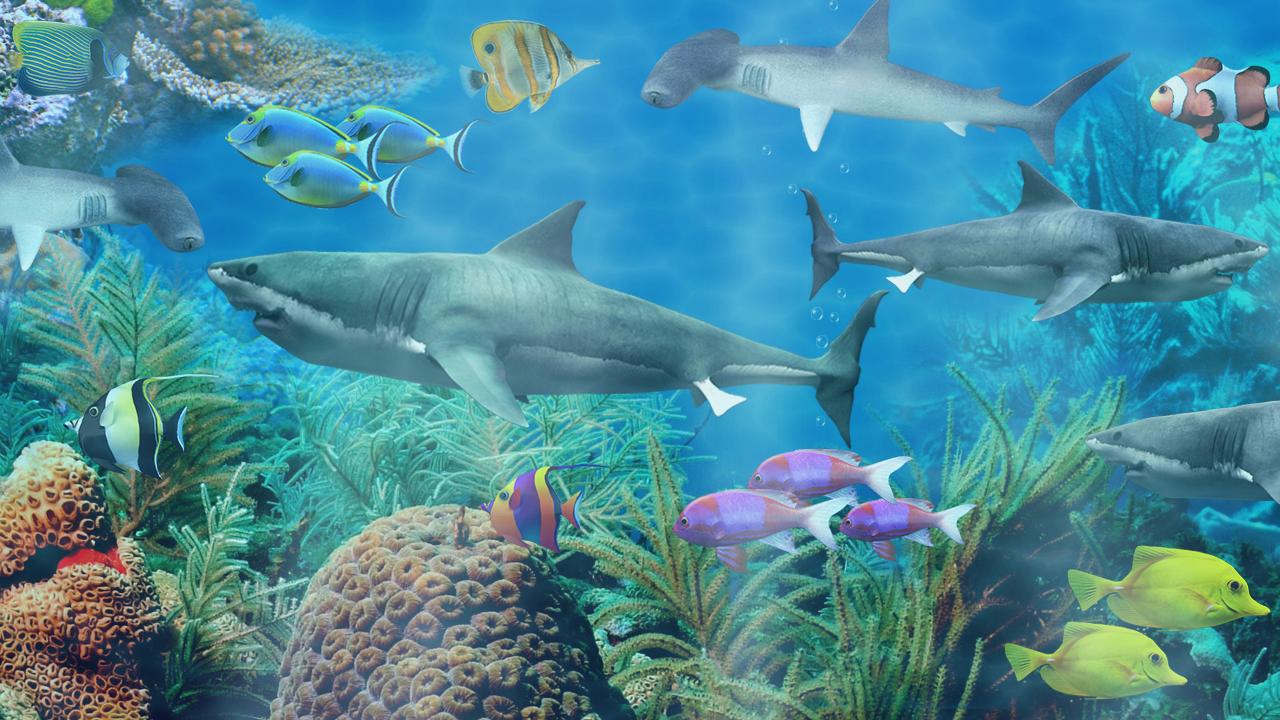 Android 用の サメの水族館ライブ壁紙 Apk をダウンロード