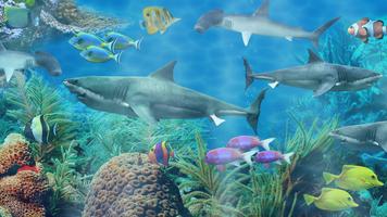 サメの水族館ライブ壁紙 ポスター