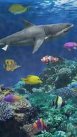 Shark aquarium اسکرین شاٹ 2