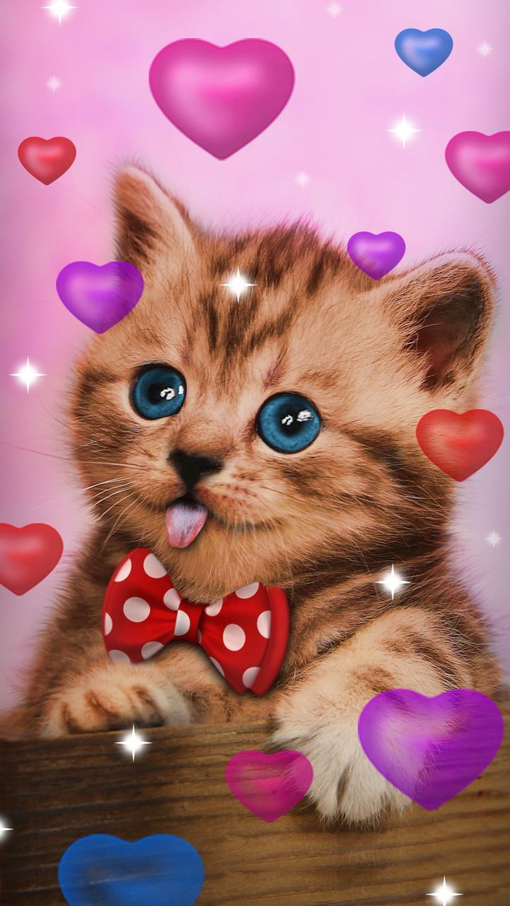Android 用の 甘い猫 ライブ壁紙 Apk をダウンロード