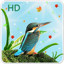 Cute Birds Live Wallpaper APK