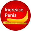 Increase Penis Size APK
