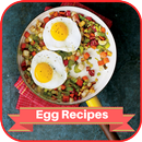 Egg Recipes : Daily  Easy Egg  APK