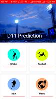 D11 Prediction پوسٹر