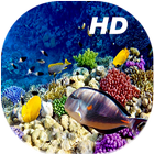 Récif de corail en Direct fond icône