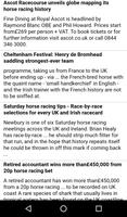 Horse racing Fest capture d'écran 1