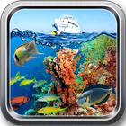 Coral Reef live wallpaper & Lock screen icône