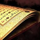 القرآن الكريم بدون انترنيت APK